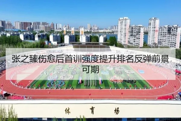 张之臻伤愈后首训强度提升排名反弹前景可期
